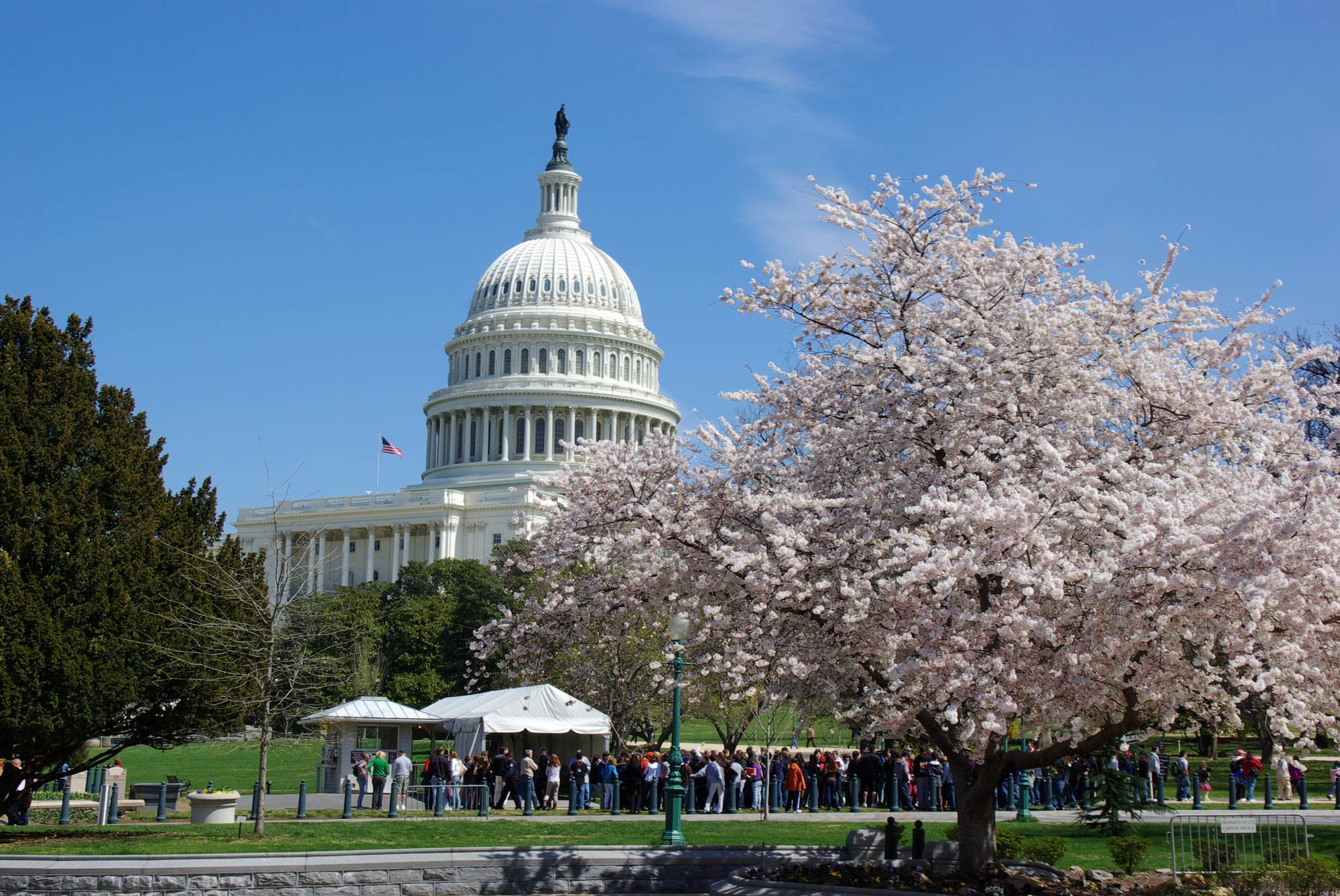 DBDC横断コラム 鵜の目鷹の目かもめの目</br>第5回　米国DCにおける新たな動き～401(k)加入者への「オルタナティブの民主化」