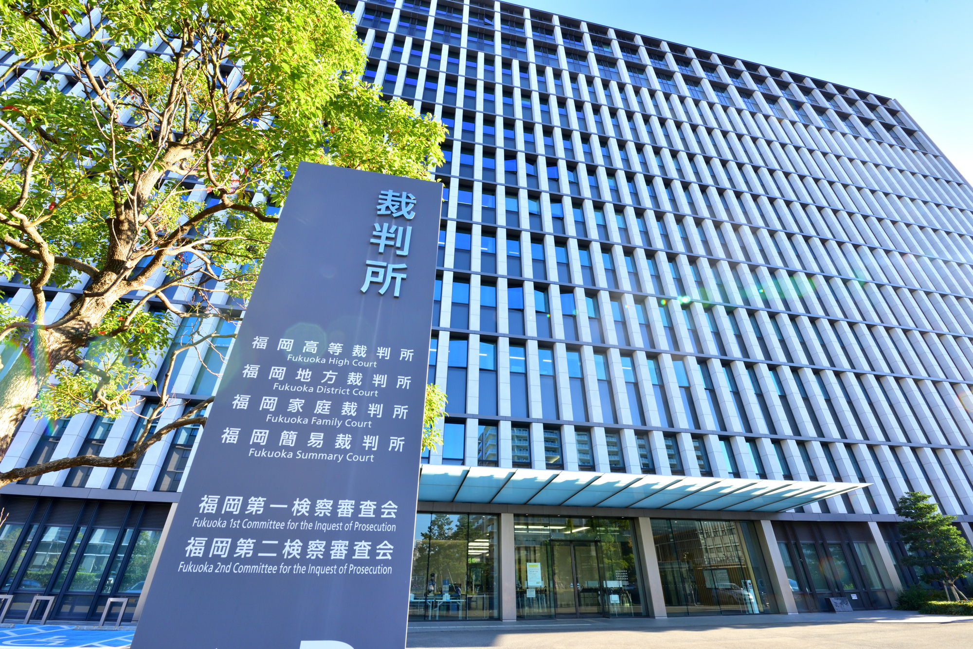 DBDC横断コラム 鵜の目鷹の目かもめの目</br>第10回　 訴訟ファイナンスとは